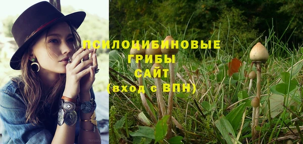 синтетический гашиш Михайловка